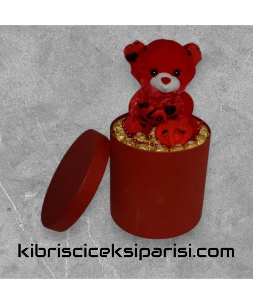 Büyük Boy Silindir Kutuda 1 Büyük Ayıcık ve 15 Çikolata Büyük Boy Silindir Kutuda 1 Büyük Ayıcık ve 15 Çikolata